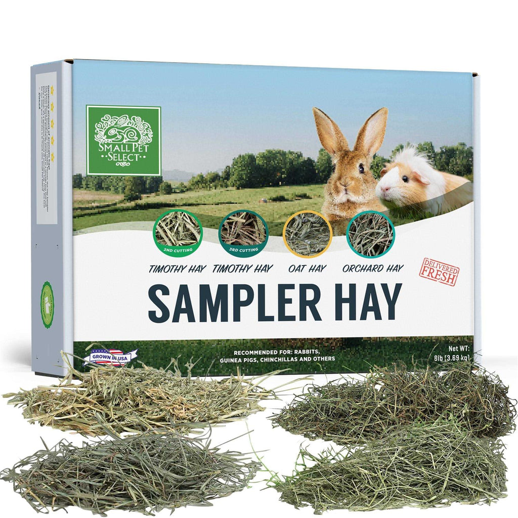 Pet Supplies Sampler Box L584807