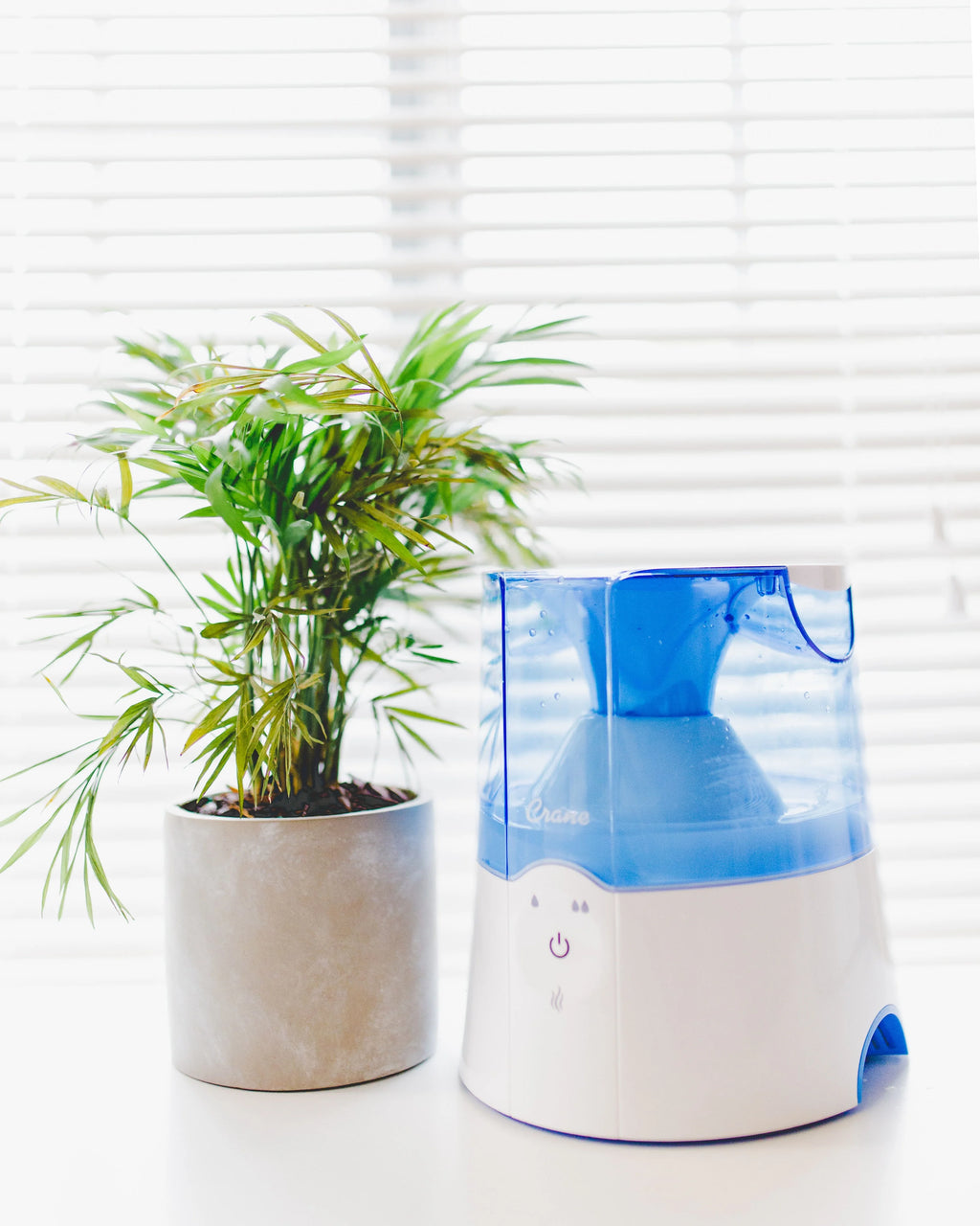 Warm Mist Humidifier H275