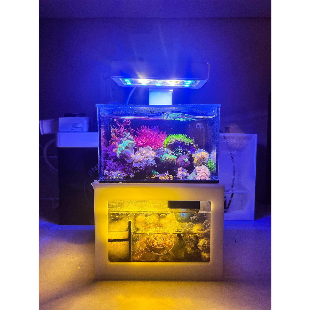 40oz Desktop Aquarium S594
