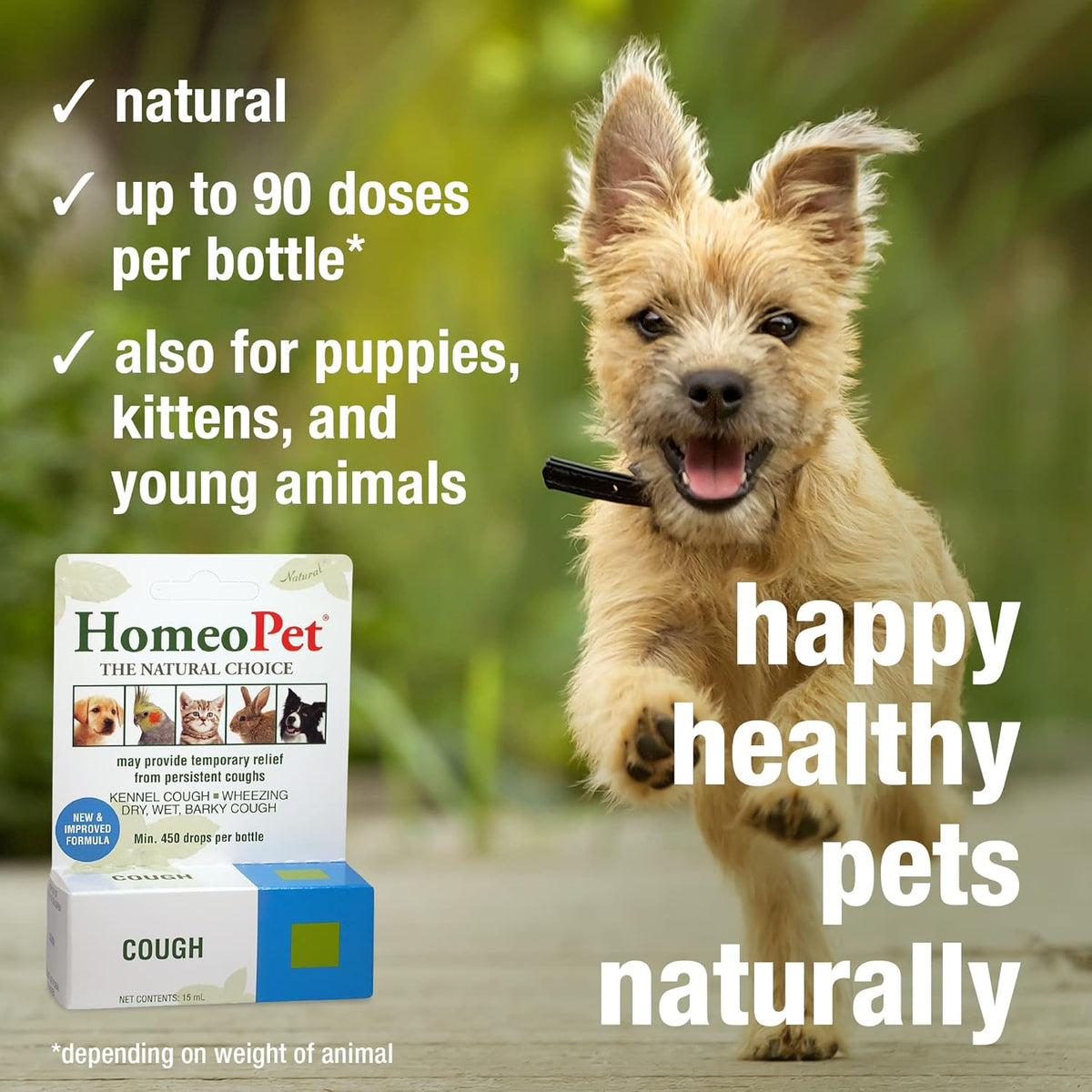 15 Milliliters Natural Cough Medicine for Pets C106049