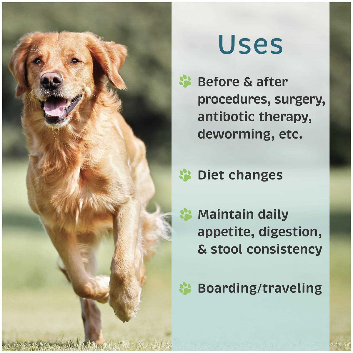 Probiotic Nutritional Supplement for Dogs Q1192