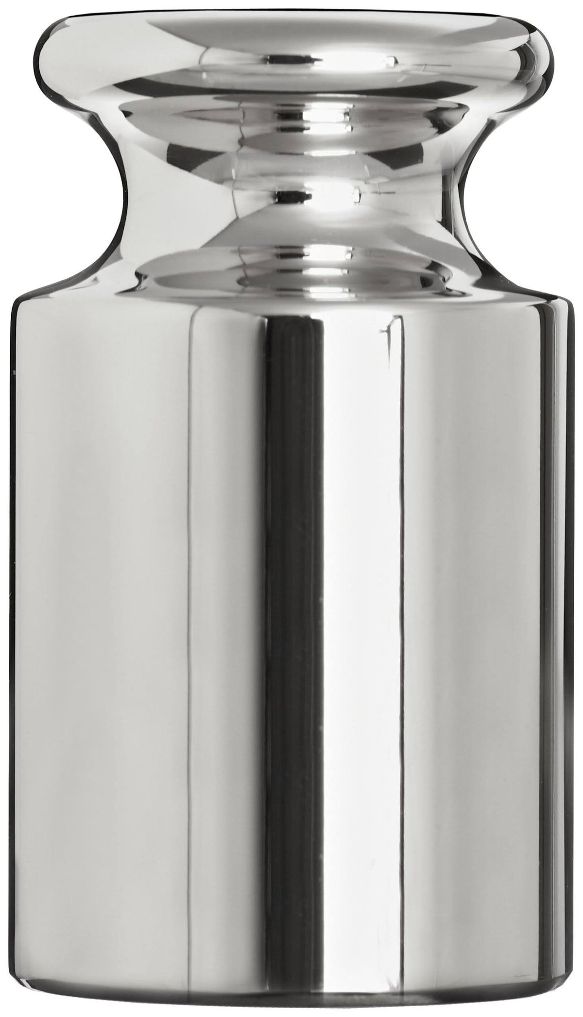 100g Stainless Steel ASTM Class 2 Calibration Weight S8116