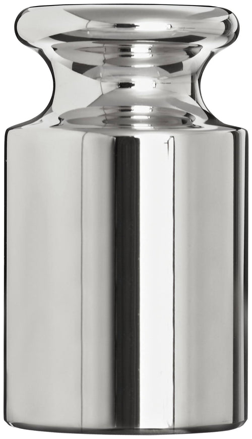 100g Stainless Steel ASTM Class 2 Calibration Weight S8116