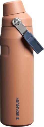 Insulated Stainless Steel Water Bottle with Angled Spout Lid M121