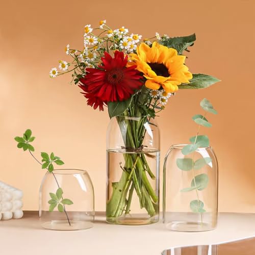 Clear Ribbed Glass Vase, 7.87 Inches M9706