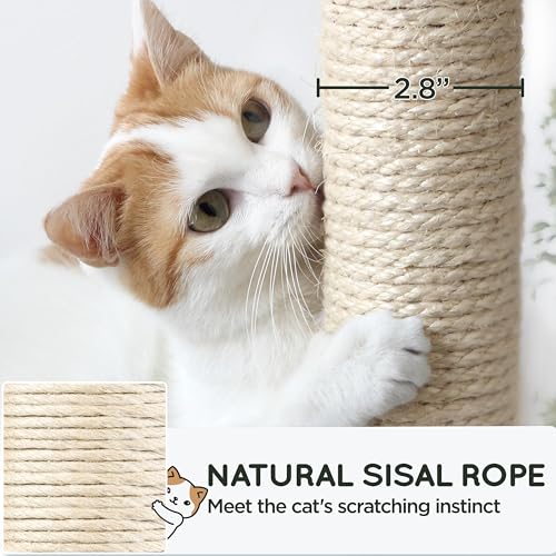 63 Inches Tall Cat Tree with Scratching Posts G92038