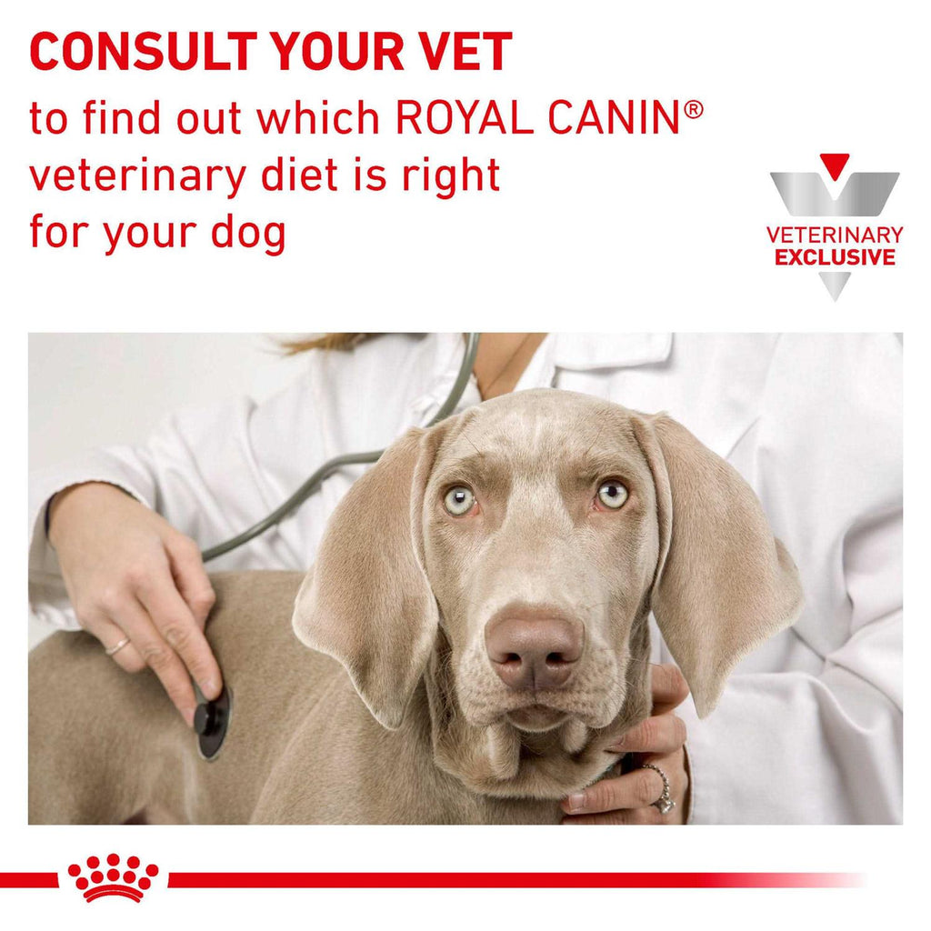 Veterinary Diet Canine Renal Support D Morsels in Gravy Canned Dog Food N426