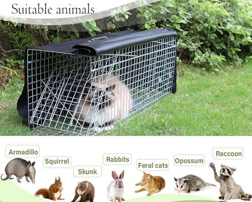 32 Inch Heavy Duty Folding Animal Trap Cage with Cover 2 Packs A8601