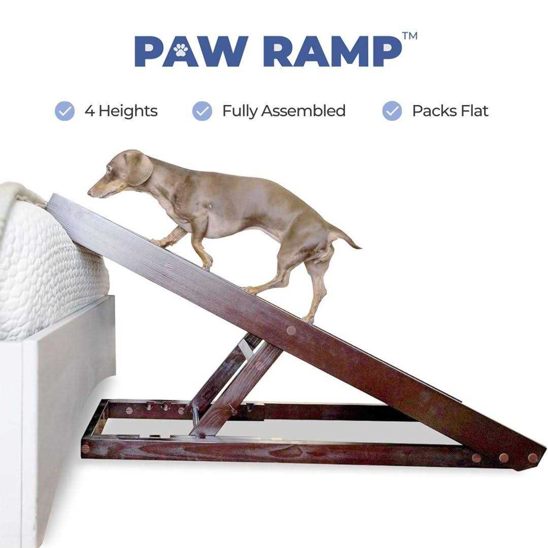 Dog Ramp X1115
