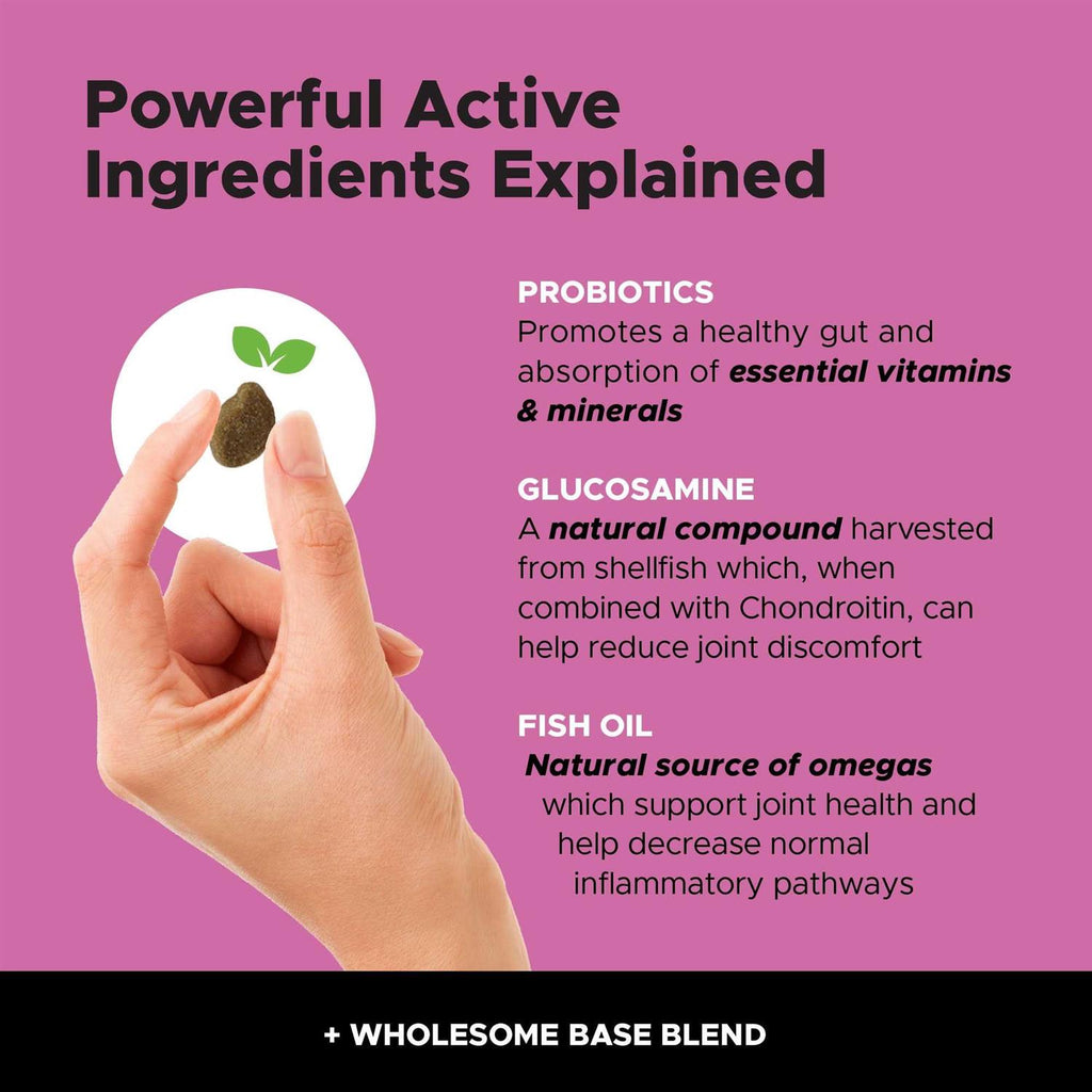 10 in 1 Multivitamin Glucosamine Soft Chews O3166