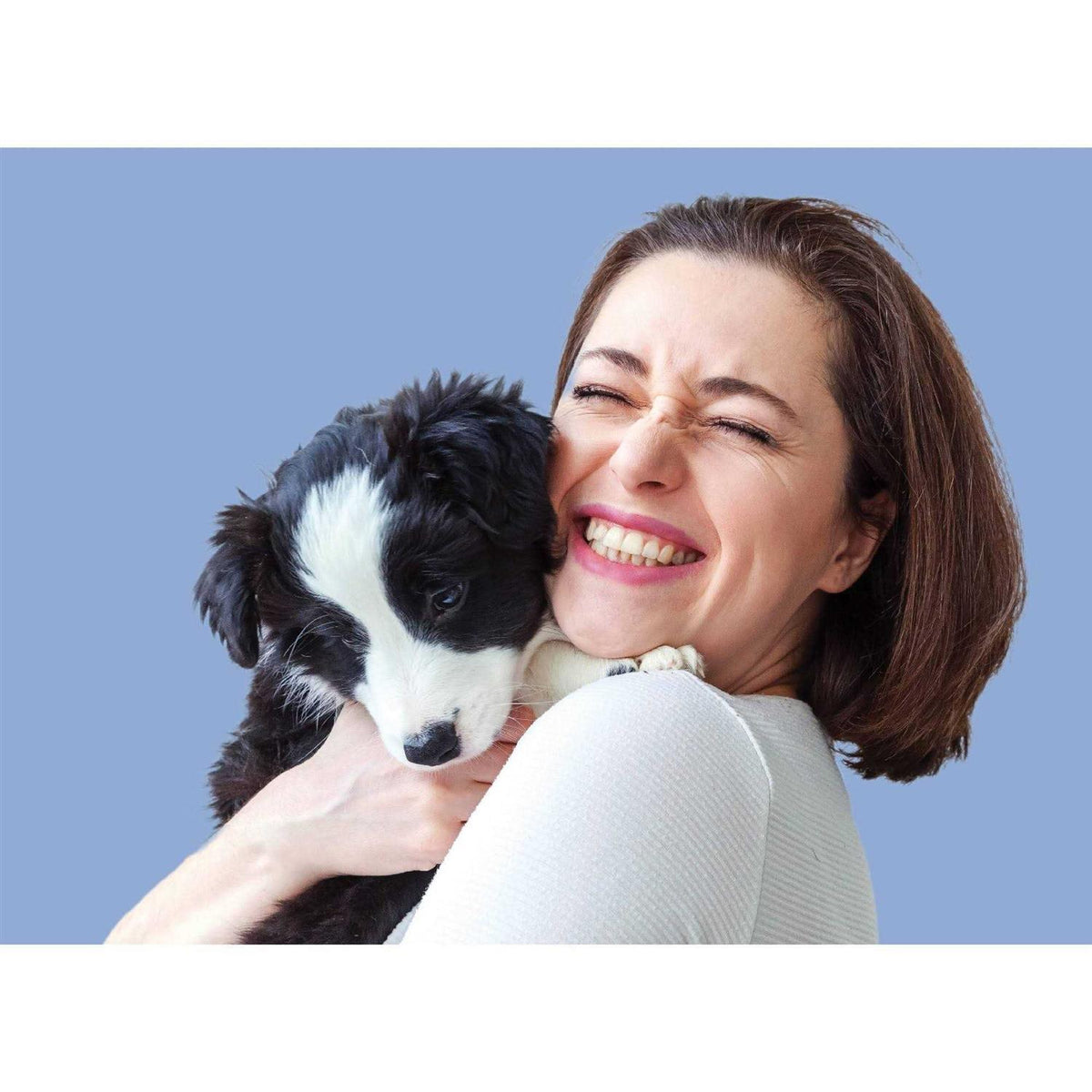 Fast Acting Flea Treatment for Small Dogs C2744