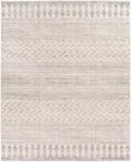 Gray Taupe Area Rug 12x15 T69201