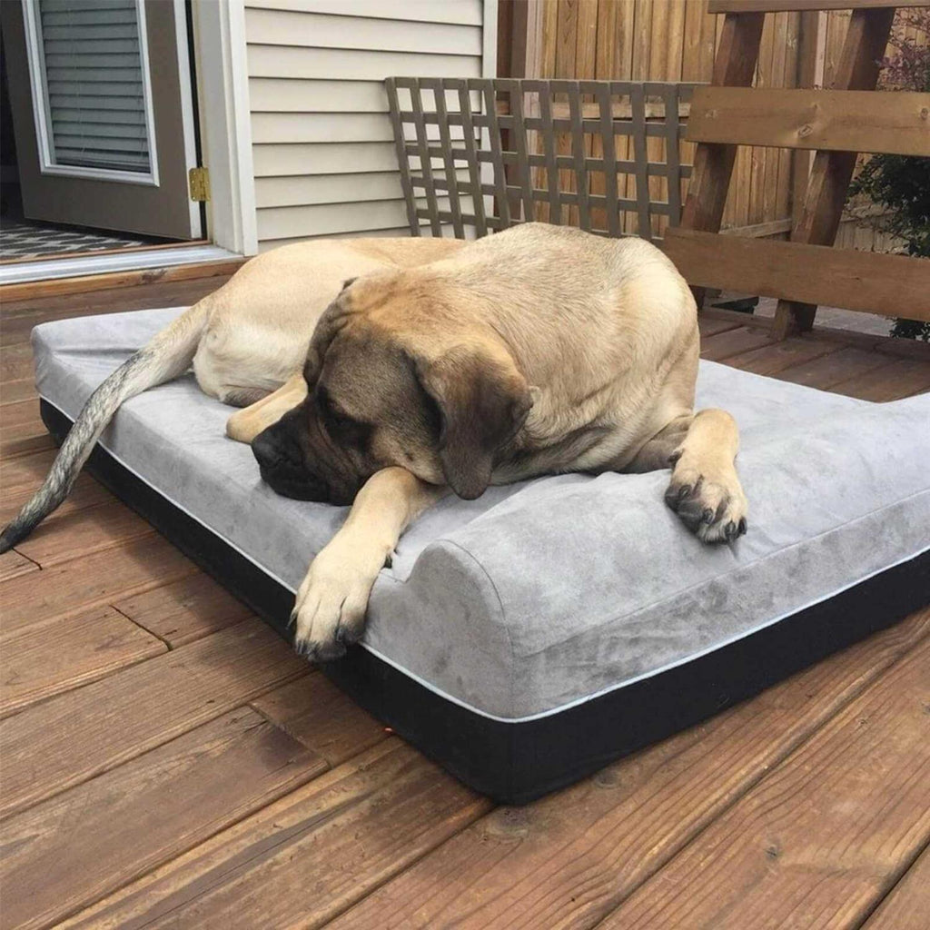 Large Orthopedic Memory Foam Dog Bed O660207