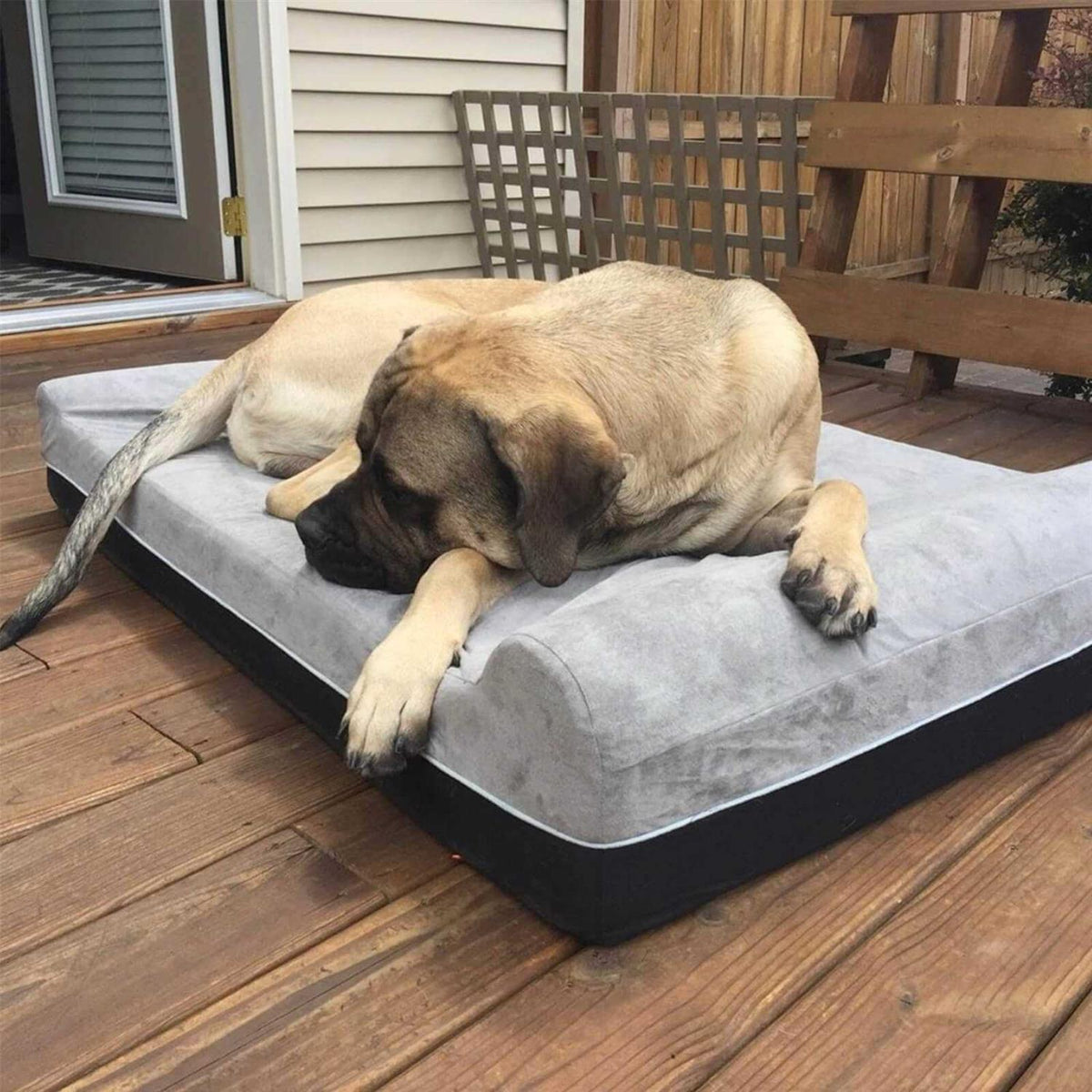 Large Orthopedic Memory Foam Dog Bed O660207