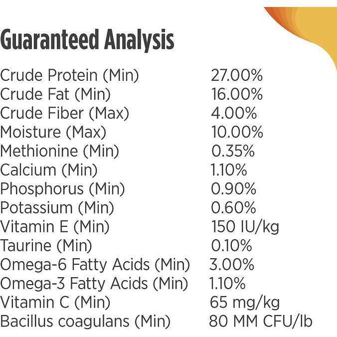 Turkey Dry Dog Food N151