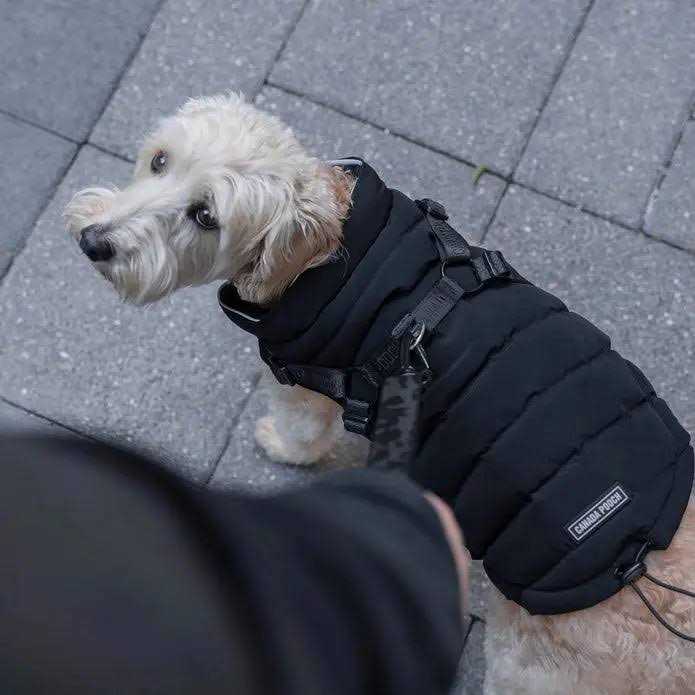 Black Puffer Harness X3343