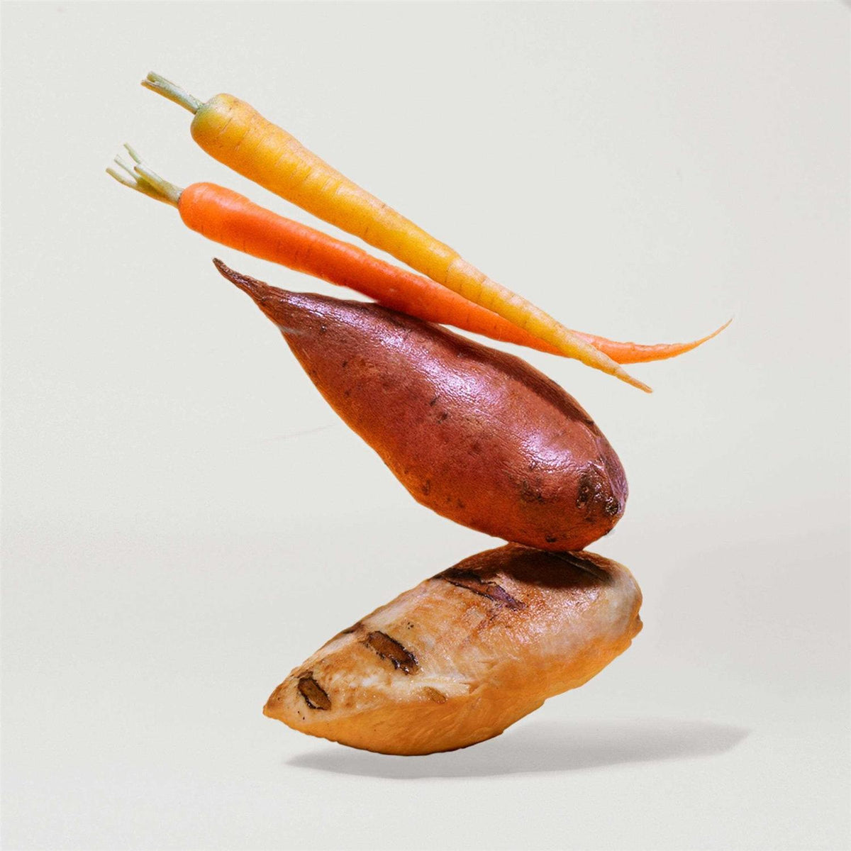 Sweet Potato & Carrot Dry Dog Food W53158