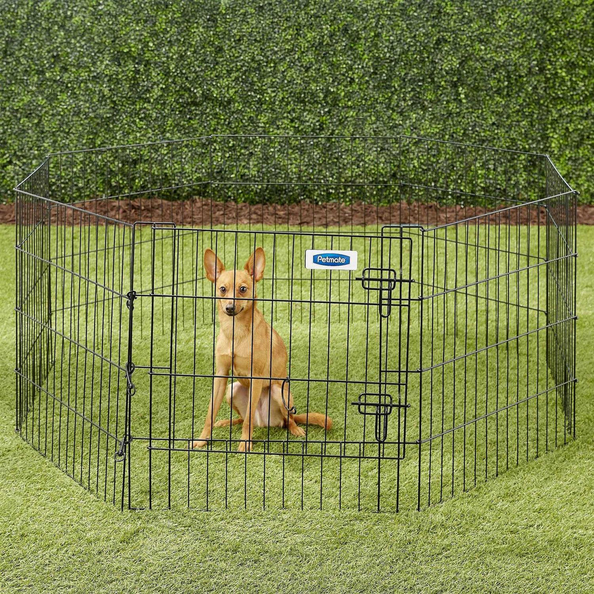 Exercise Pen with Door D883926