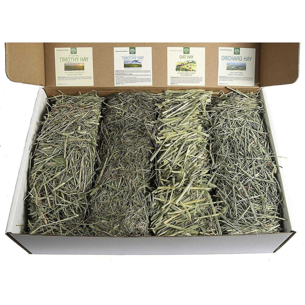 Pet Supplies Sampler Box L584807