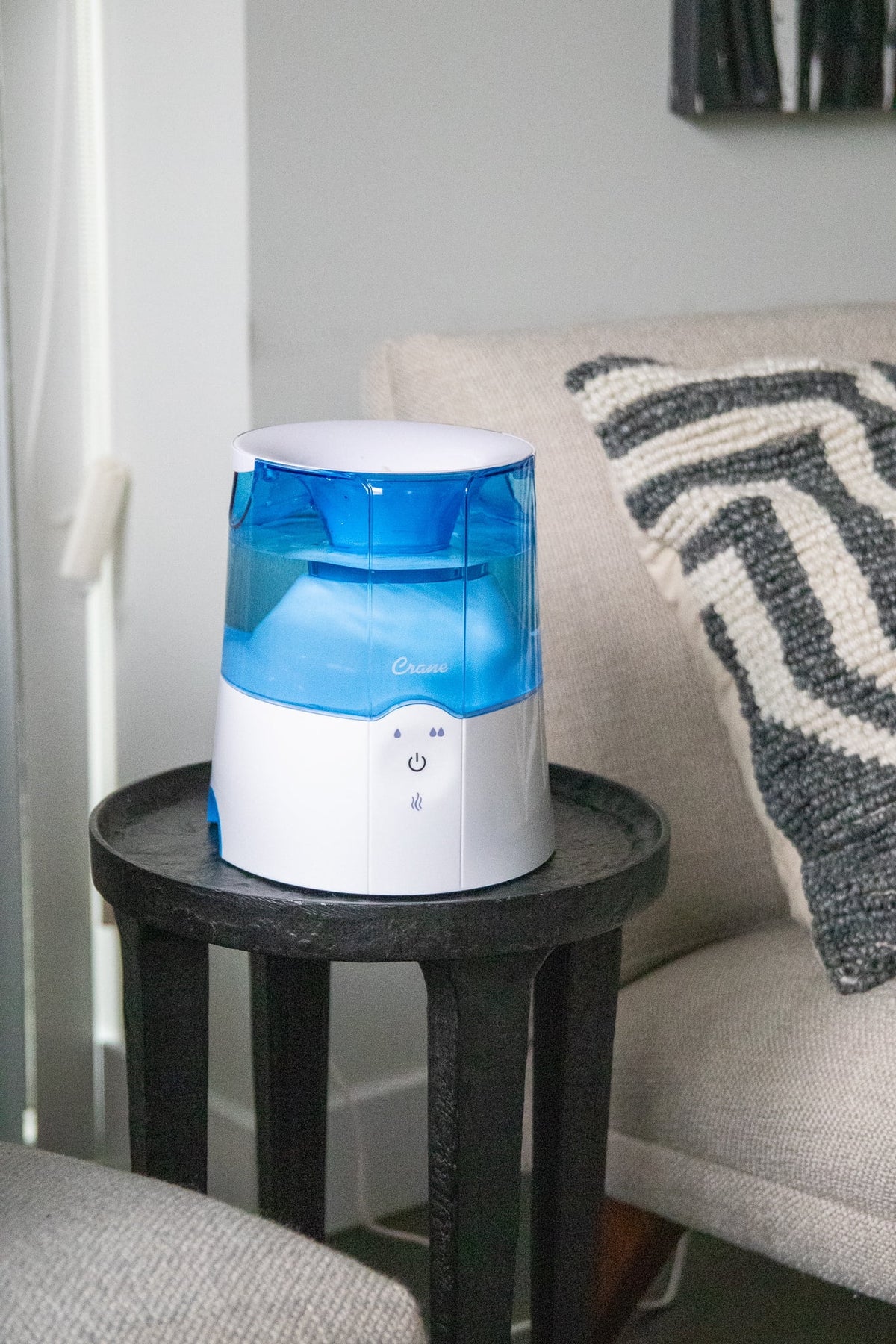 Warm Mist Humidifier H275