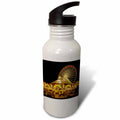 21 oz Sports Water Bottle V8608