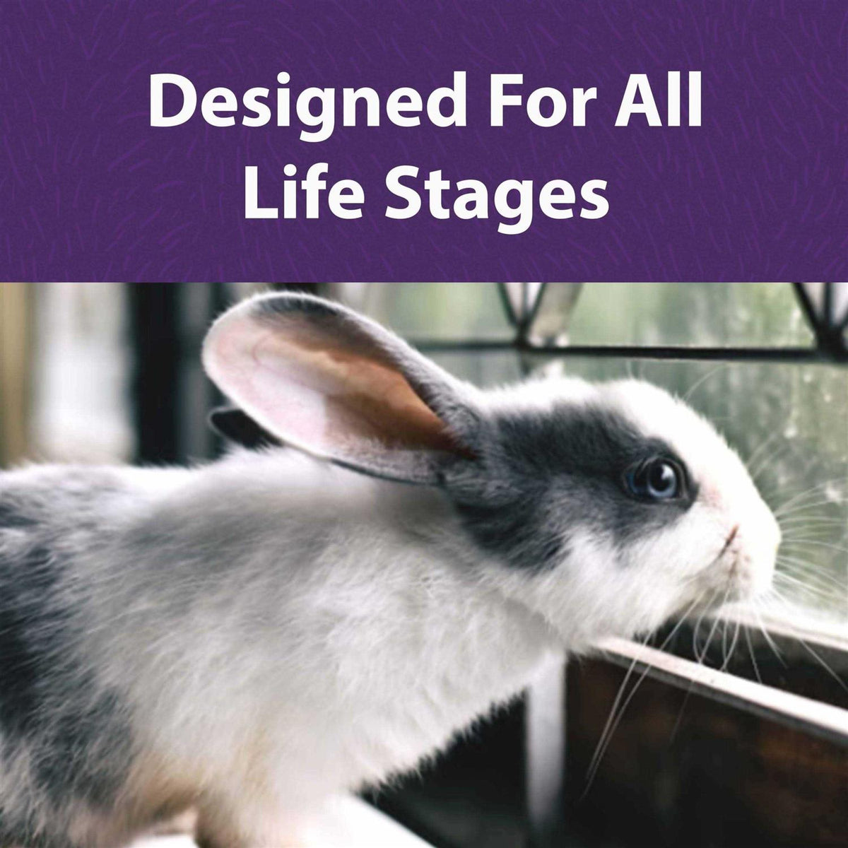 Timothy Based Rabbit Diet K5839