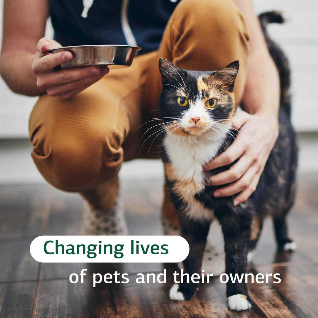Feline Immune System Support E151813