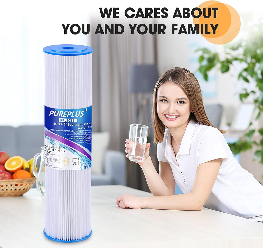 20 x 4.5 Pleated Sediment Filter Replacement Cartridge, 2 Pack Y6526