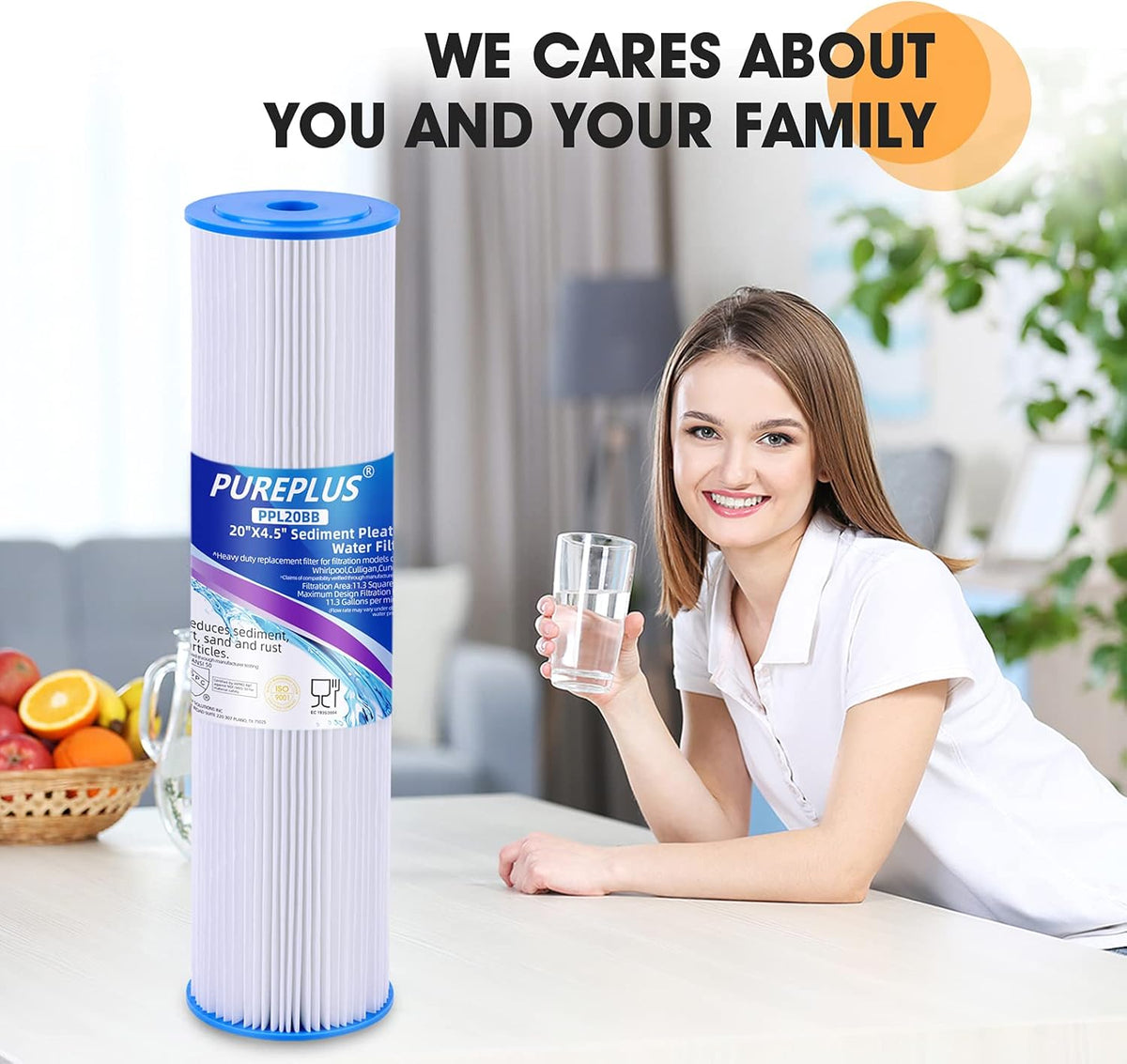 20 x 4.5 Pleated Sediment Filter Replacement Cartridge, 2 Pack Y6526