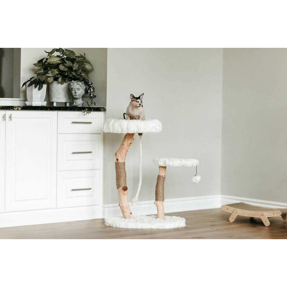 Modern Wooden Cat Tree X530