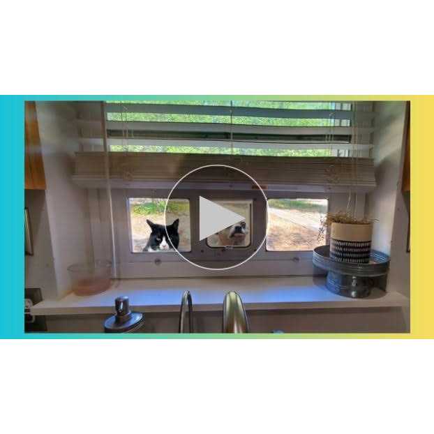 Aluminum Sash Pet Door P521