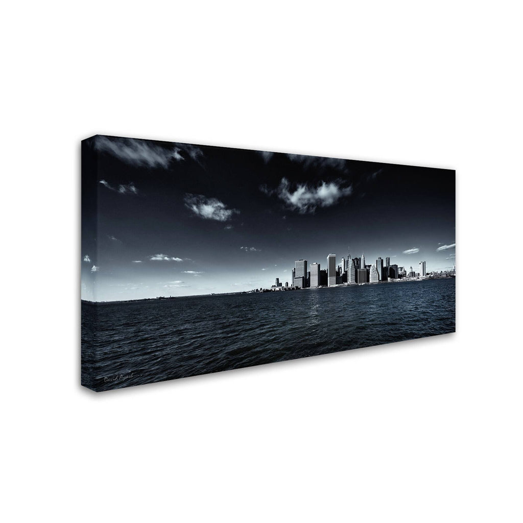 Canvas Art T1620