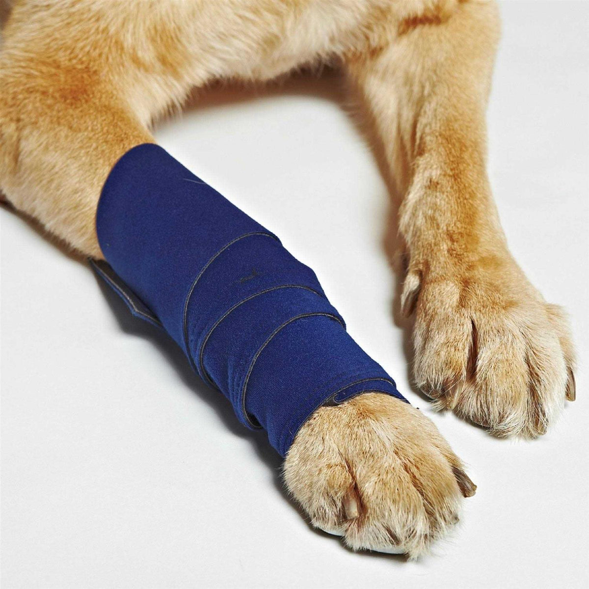 Dog Wraps B941548