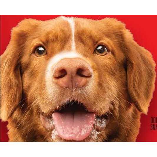 Grain Free Dog Y188