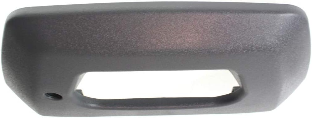 Textured Gray Plastic Tailgate Handle Bezel Pack of 2 O510273