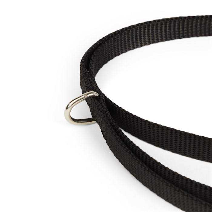 Dog Lead B3019
