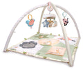 Activity Gym I387696