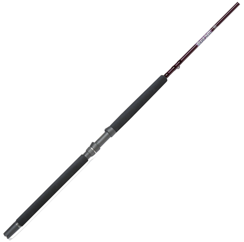 Spinning Rod Z68339