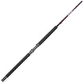 Spinning Rod Z68339