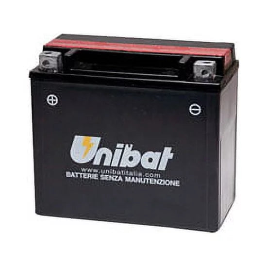 Maintenance-Free Battery with Acid Q351693