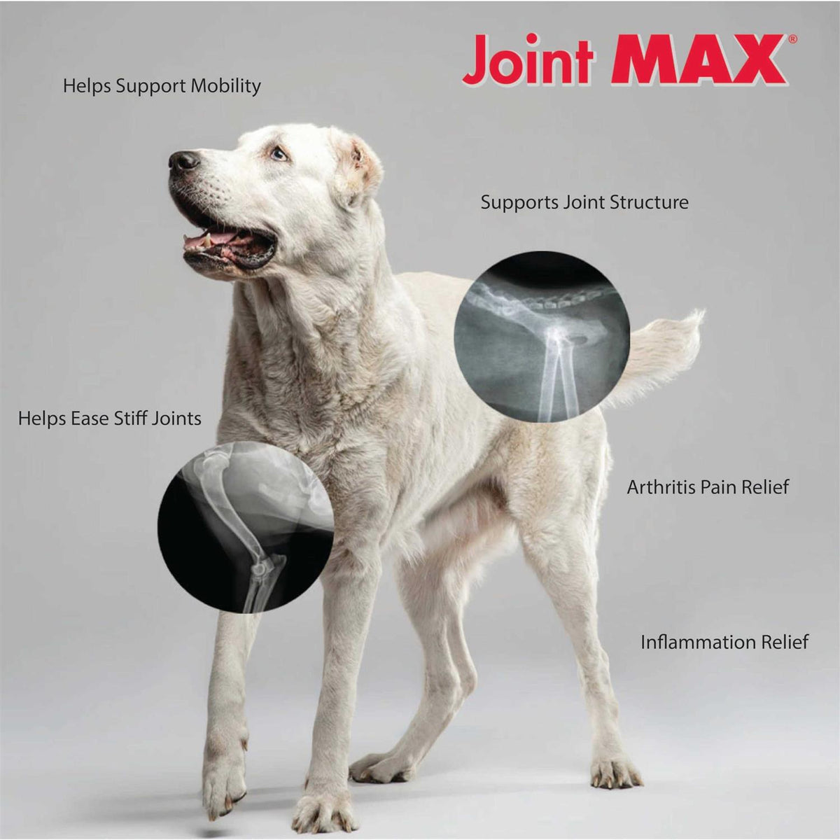 Joint MAX Triple Strength Soft Chews C327157