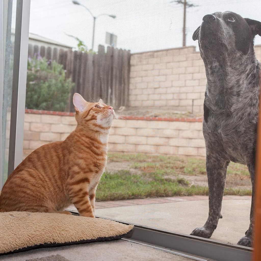 Pet Proof Screen 36” x 100’ Pack of 2 S22769