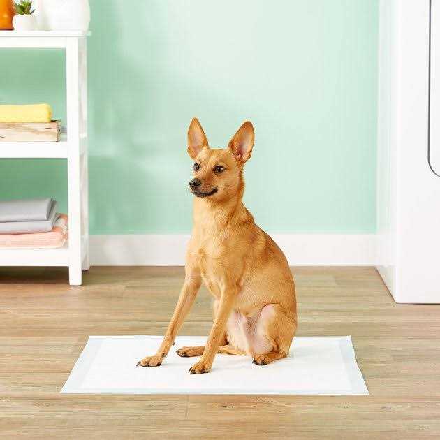 Large Dog and Puppy Training Pads K708